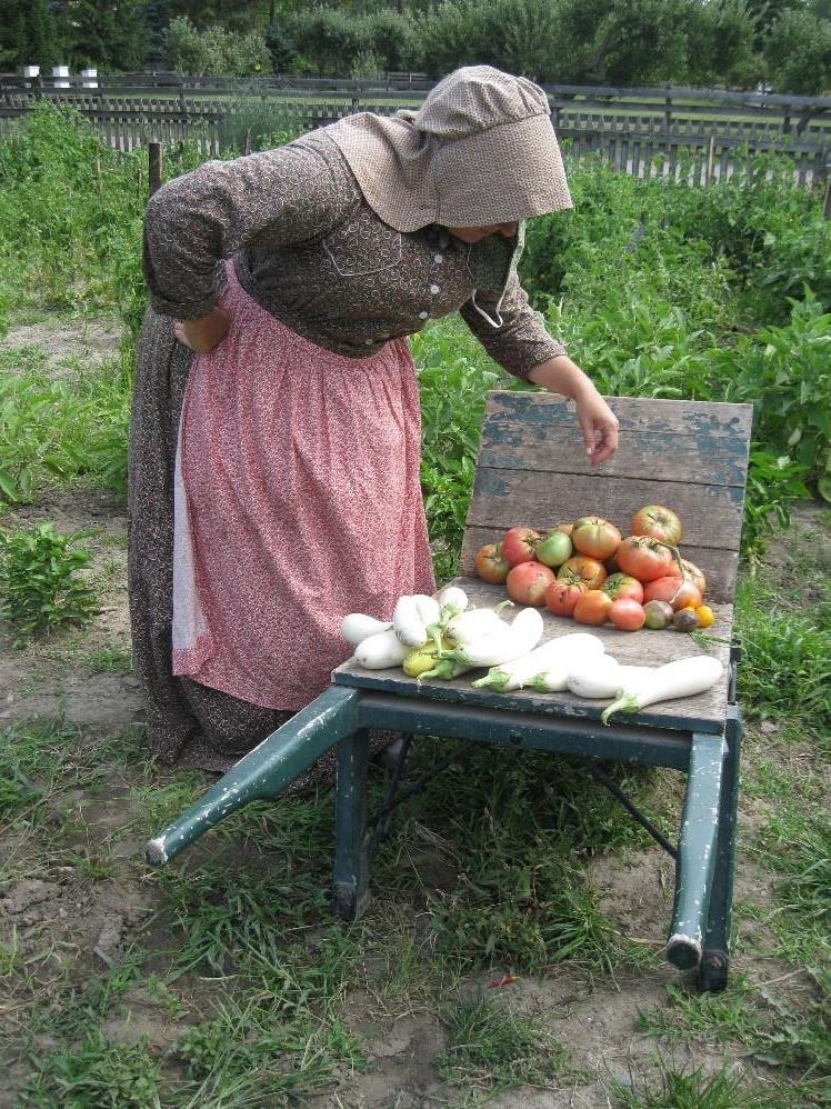 Woman in period clothing bending over a wheelbarrow containing tomatoes and white eggplants