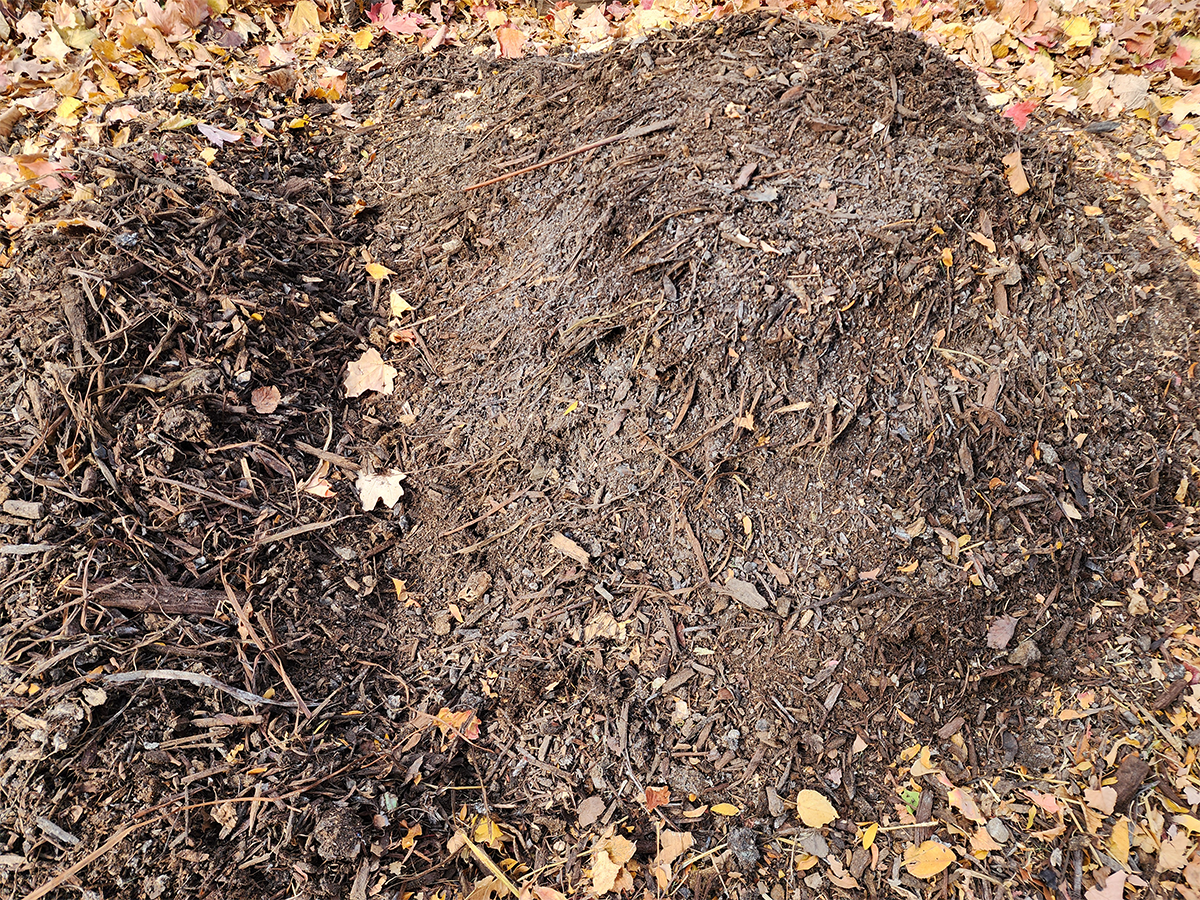 compost