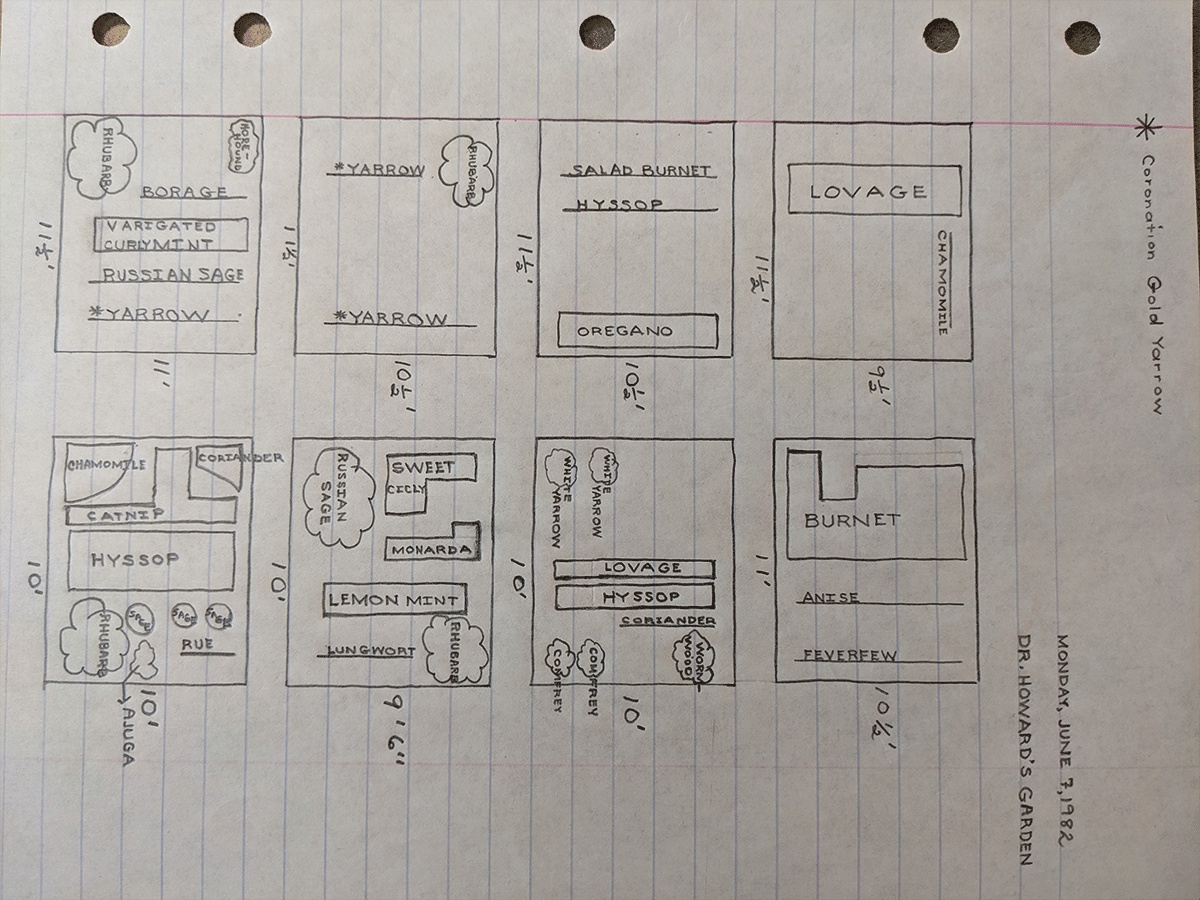 Map of Dr. Howard's Garden, June 7, 1982.
