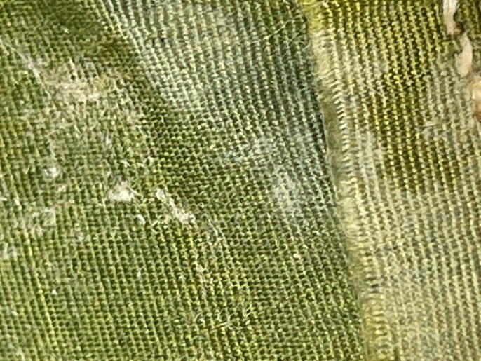 Moss- and yellow-green fabric with white mildew and white fluff on it