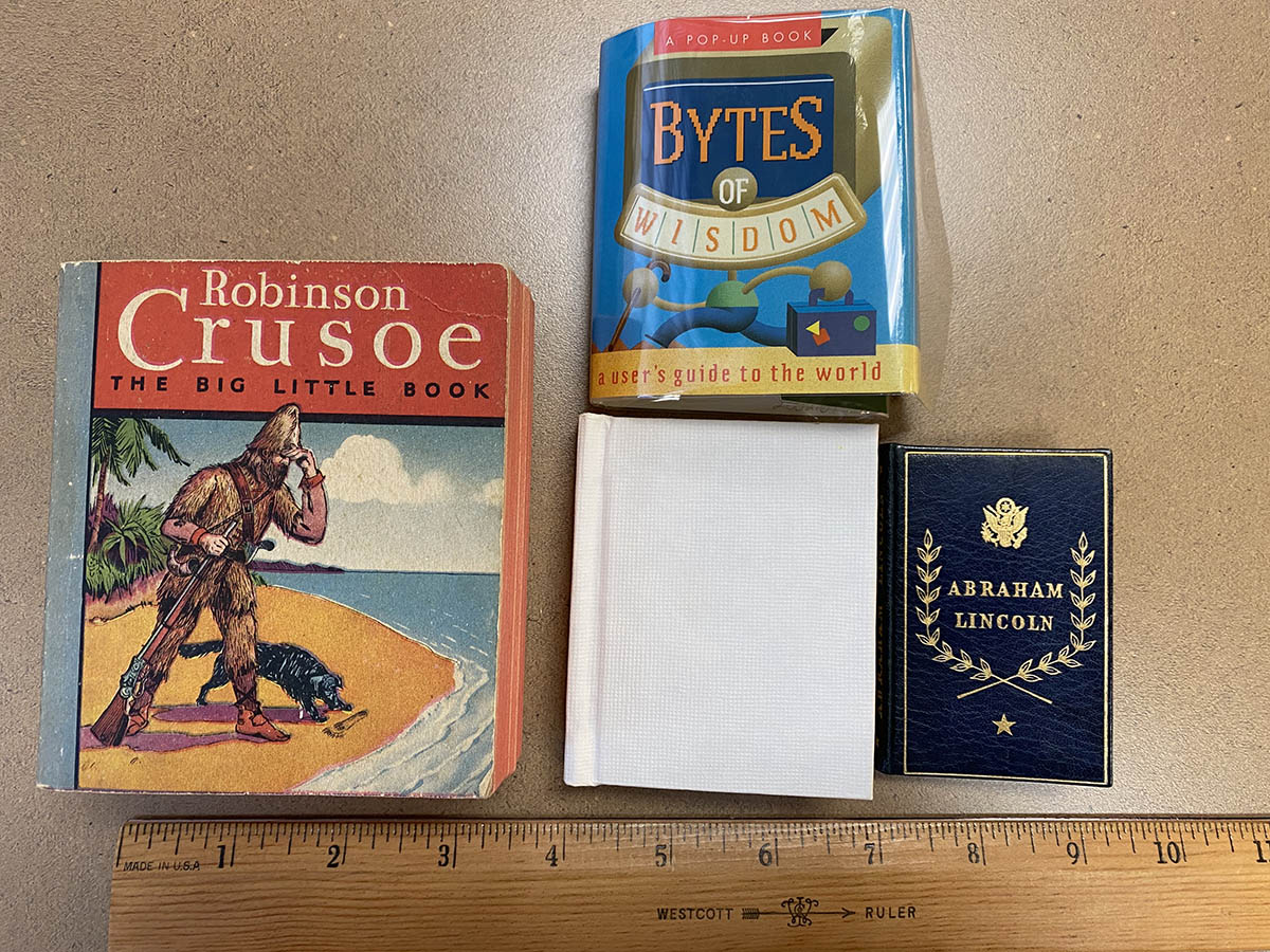 The Big Little Book copy of Daniel Defoe’s Robinson Crusoe; Bytes of wisdom: a user's guide to the world. R 004 C957 1996.; Abraham Lincoln, President of the United States, 1861-1865: selections from his writings. R 973.7 L736 1950.