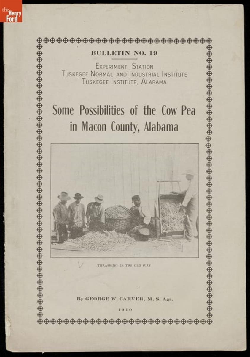 Some Possibilities of the Cow Pea in Macon County, Alabama, 1910 Page with text and photo of men with baskets of peas