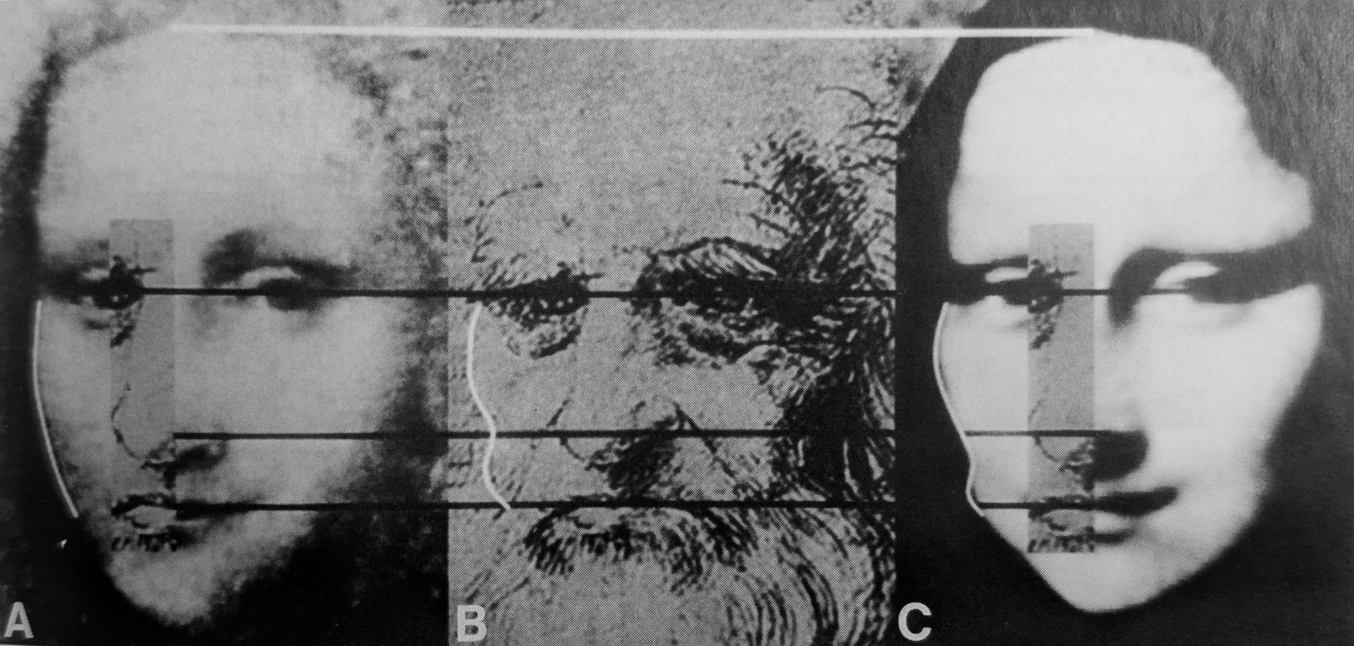 Schwartz Three Faces Data llustration from “Morphing the Three Faces of Mona: The Decision-Making Steps Leonardo Used to Create His Mona Lisa,”