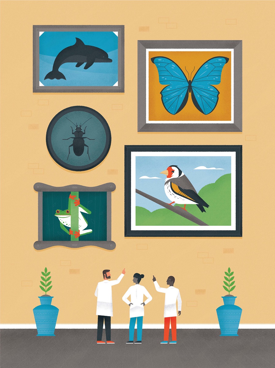 Illustration of three people in labcoats looking at a wall with framed images of animals