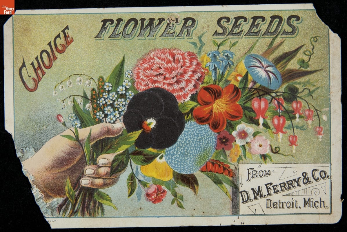 Card with ripped corners depicting a hand holding a bouquet of flowers; also contains text