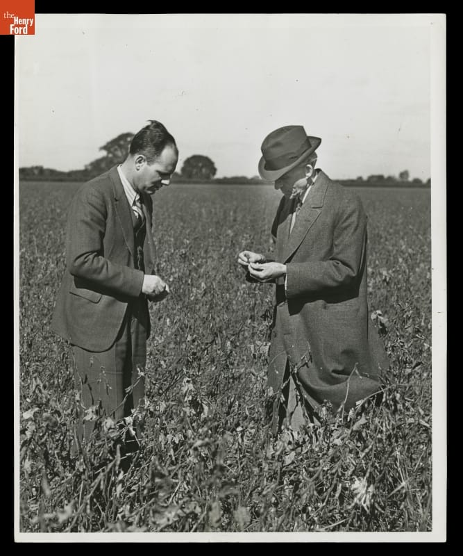 Robert Boyer and Henry Ford in a Soybean Field, 1936 Two men in suits, one wearing a hat, look at something in a field