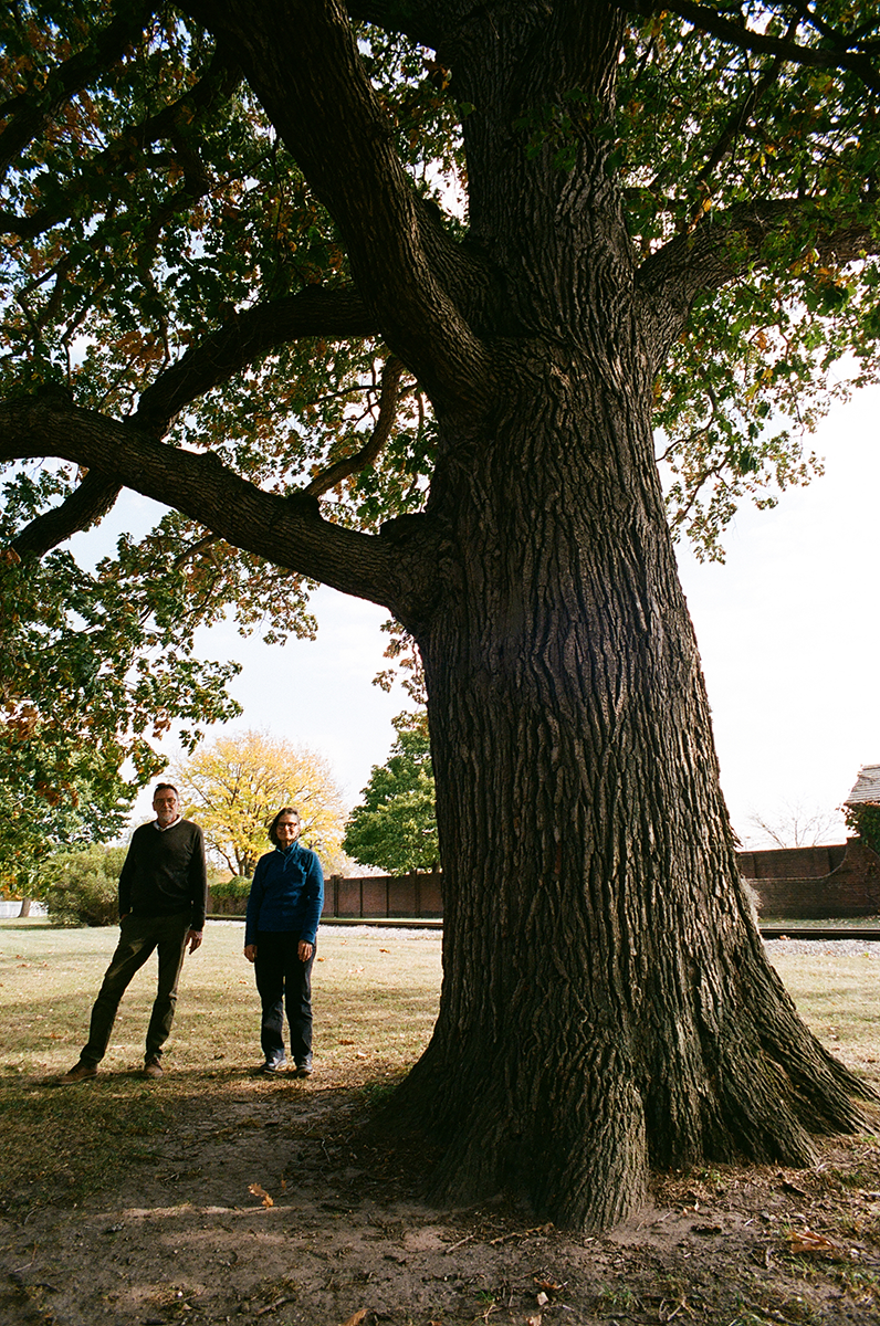 Tree_blog Tree_blog