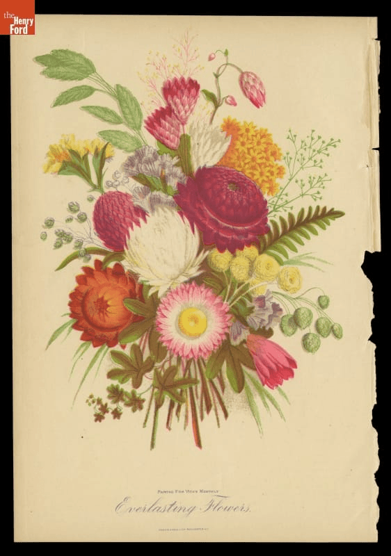 GIF cycling through a number of images of flowers